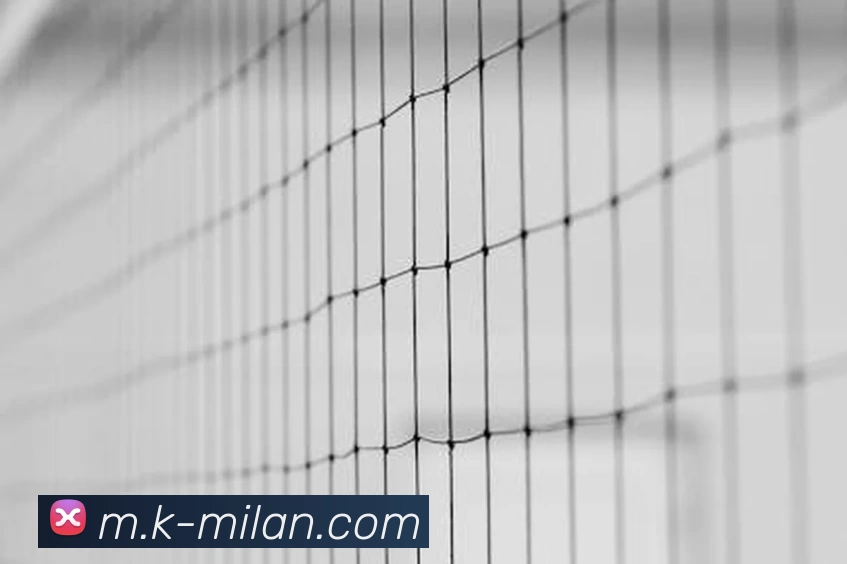 App Interface Preview